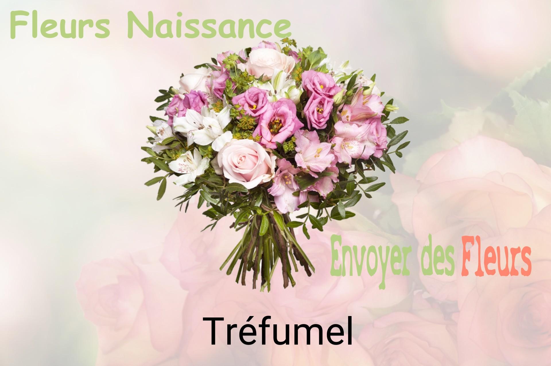 Bouquet de fleurs de naissance livré à Tréfumel